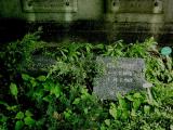 image of grave number 257547